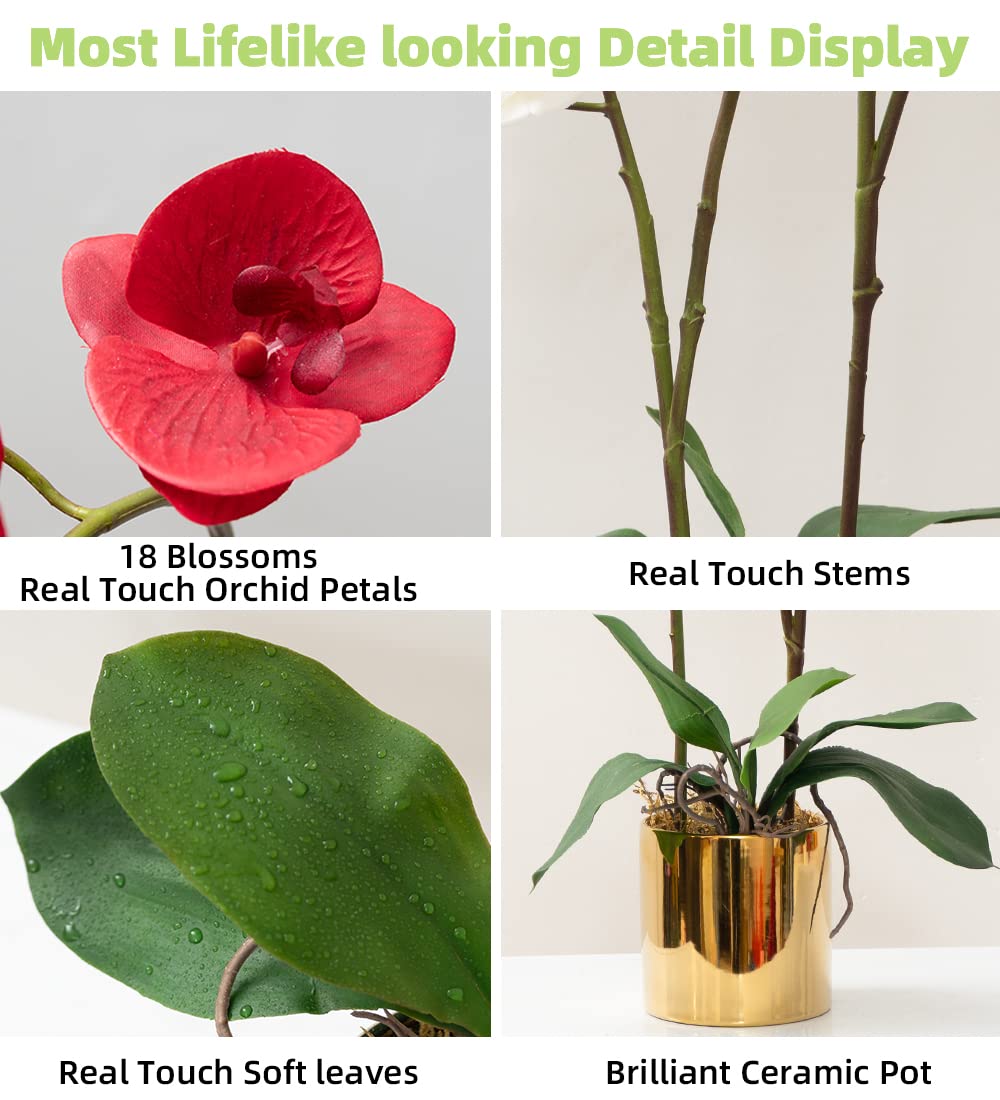 CXGS Künstliche Orchidee, Real Touch-Qualität, Kunstorchideen in Keramikvase, 50 cm, künstliche Phalaenopsis-Blumen, Kunstblumenarrangement für Tafelaufsatz, Heim- und Innendekoration, Rot