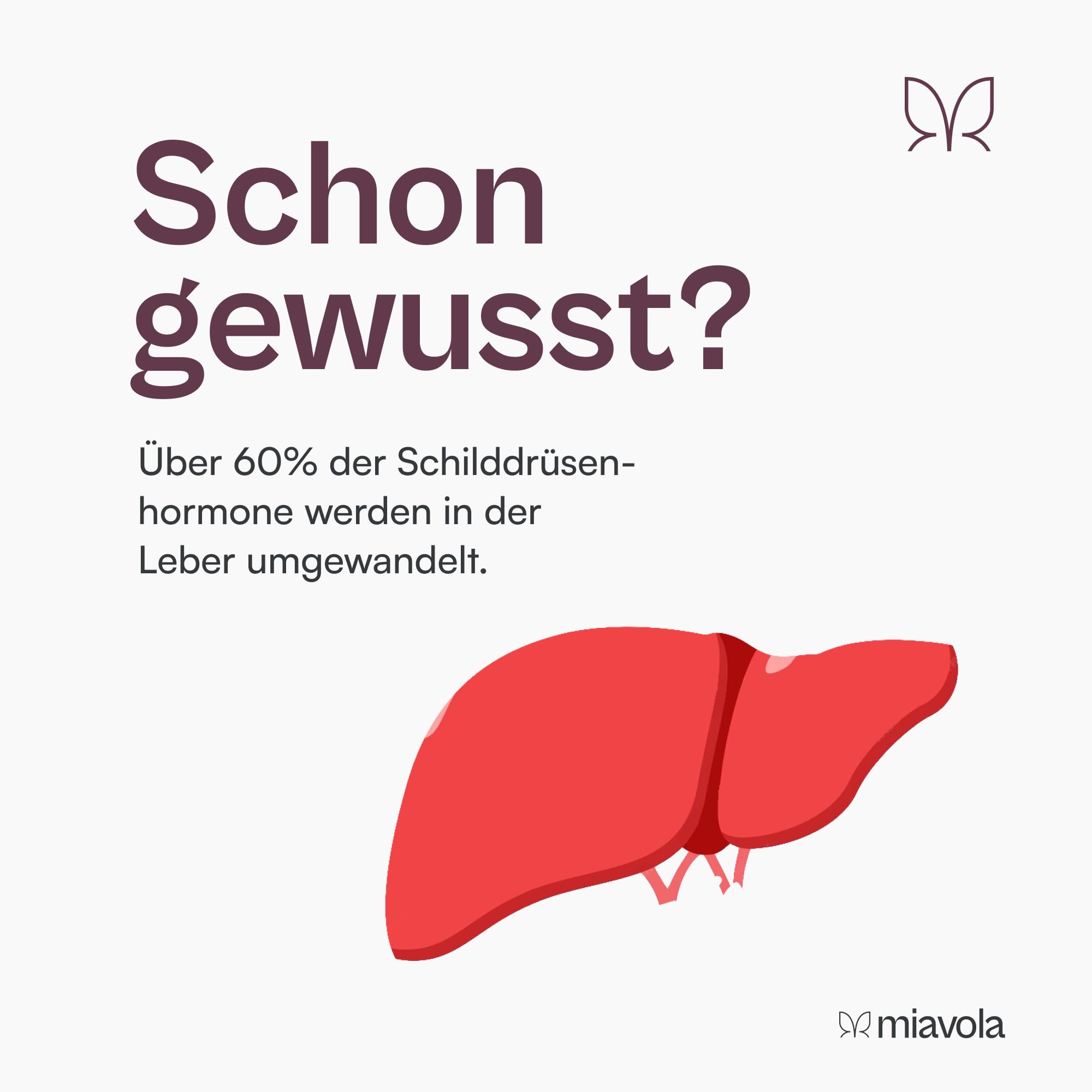miavola® der Umwandler® Schilddrüsen & Leber Komplex mit Mariendistel, Artischocke, Cholin, Glutathion, Selen, NAC + weitere Aminosäuren - 60 Kapseln hochdosiert & vegan