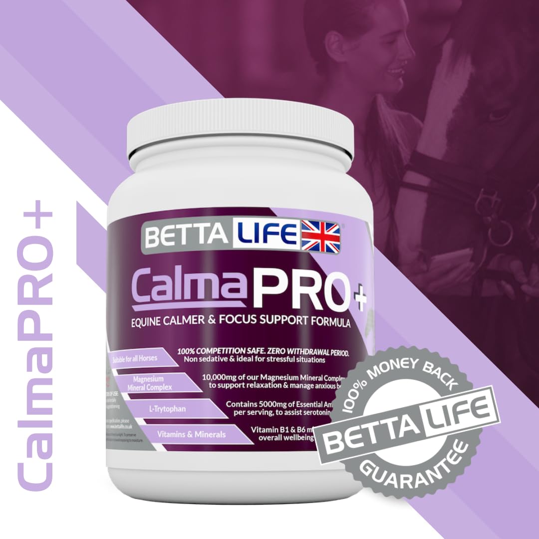 BETTALIFE CalmaPRO+ Equine Calmer and Focus Support Formula, White - Image 2