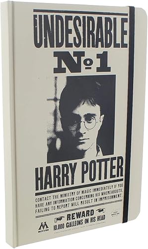 Miniatura 5 de Toynk Coleccionables de Harry Potter | Caja de coleccionistas LookSee (paquete de 2)