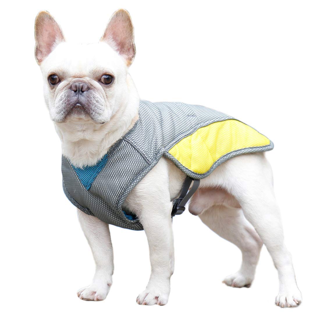BT Bear Dog Clothes,Pet Cooling Vest Jacket for Dog Bulldog Small Dog Cooling Vest Summer Coat (XS-Chest: 36-44cm)