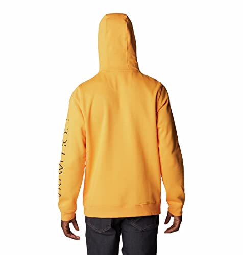 Image of Columbia Men CSC Basic Logo II Hoodie