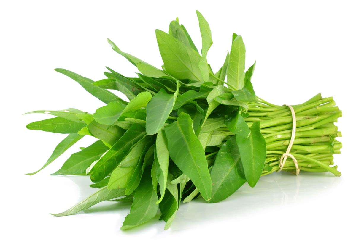 Planthub Water Spinach, Thai Kangkong, Ipomoea aquatica, Leaf Green Spinach Vegetable Seed - Pack of 50 Seeds (B07R6FHD34) Amazon Price History, Amazon Price Tracker