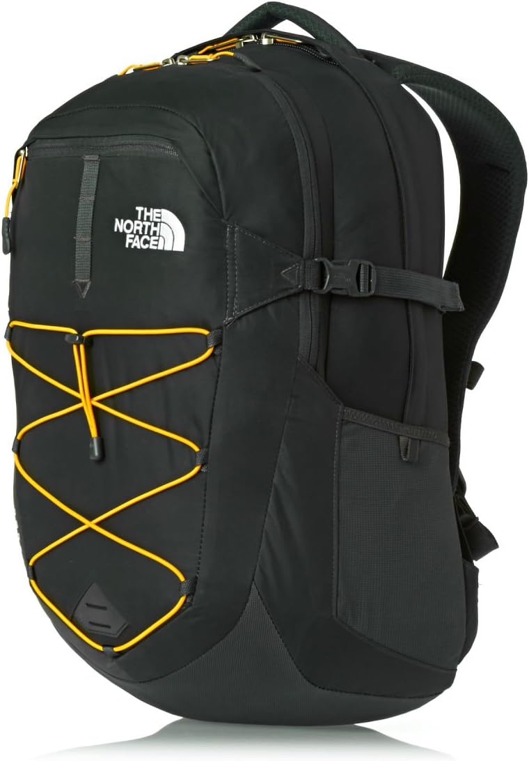 Citrus Yellow/Asphalt Grey