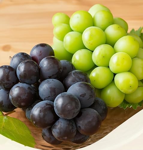 [先行予約] 岡山県産 シャインマスカット「晴王」とニューピオーネ 計 800g 株式会社はちや[6月下旬-7月下旬頃出荷]岡山県 浅口市 ぶどう 葡萄 フルーツ ギフト 果物 デザート 国産[配送不可地域あり]