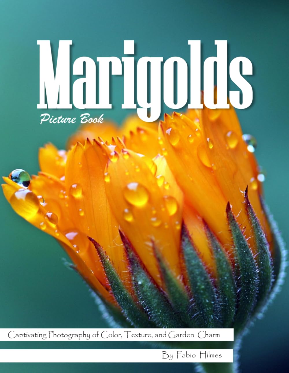 Marigolds: A Bright Visual Celebration of Nature's Golden Flower – with a Beginner's Guide to Growing Marigolds for Seniors, Alzheimer's Sufferers, and Garden Lovers.