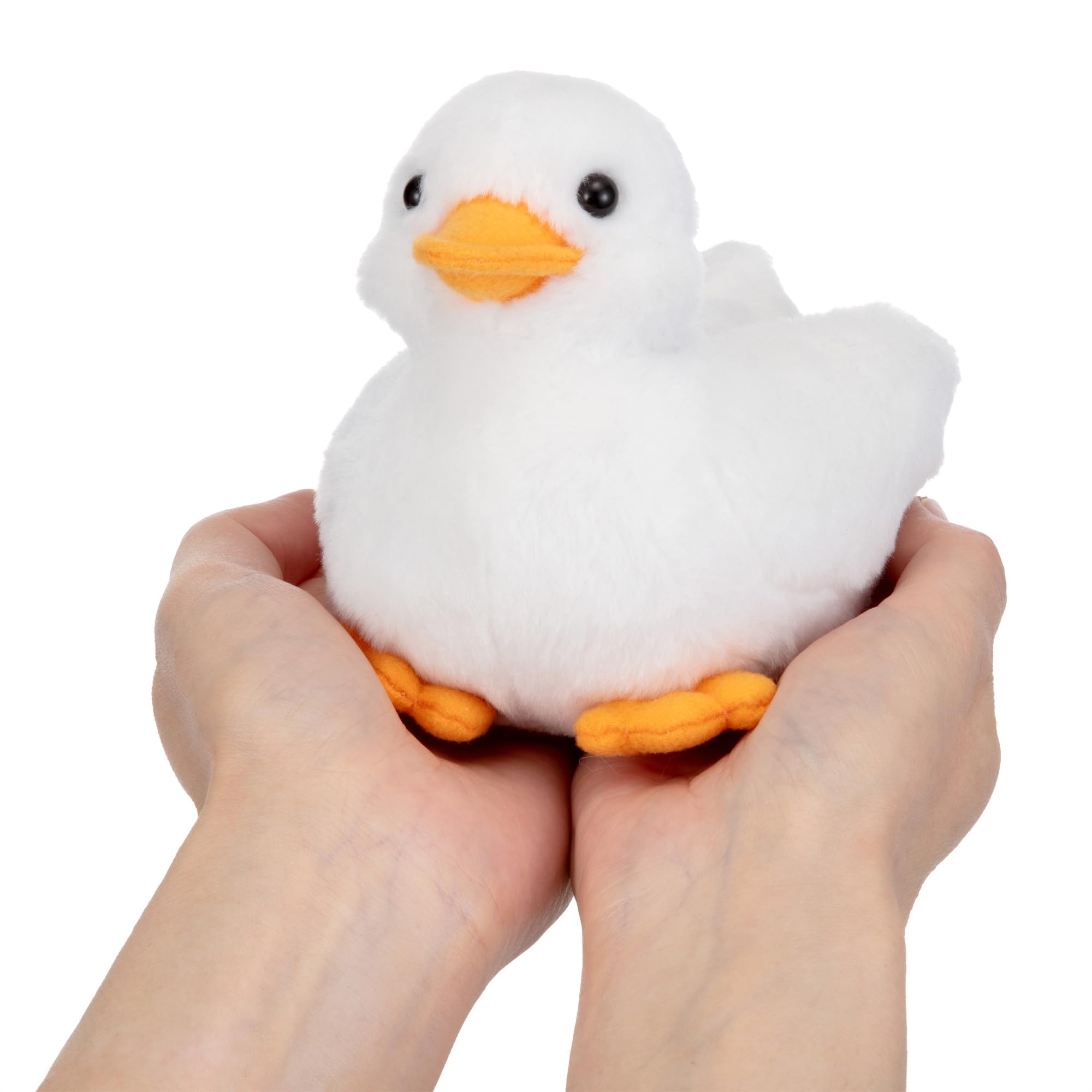 Amazon.co.jp: イワヤ(IWAYA) エココエコールダック STマーク