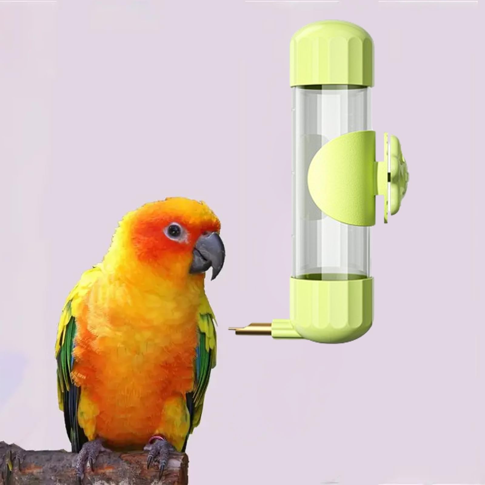 木製鳥用スタンド 水入れ付き*3 Amazon | 鳥 フィーダー ペット給水器 小動物 水飲み 大容量200ml