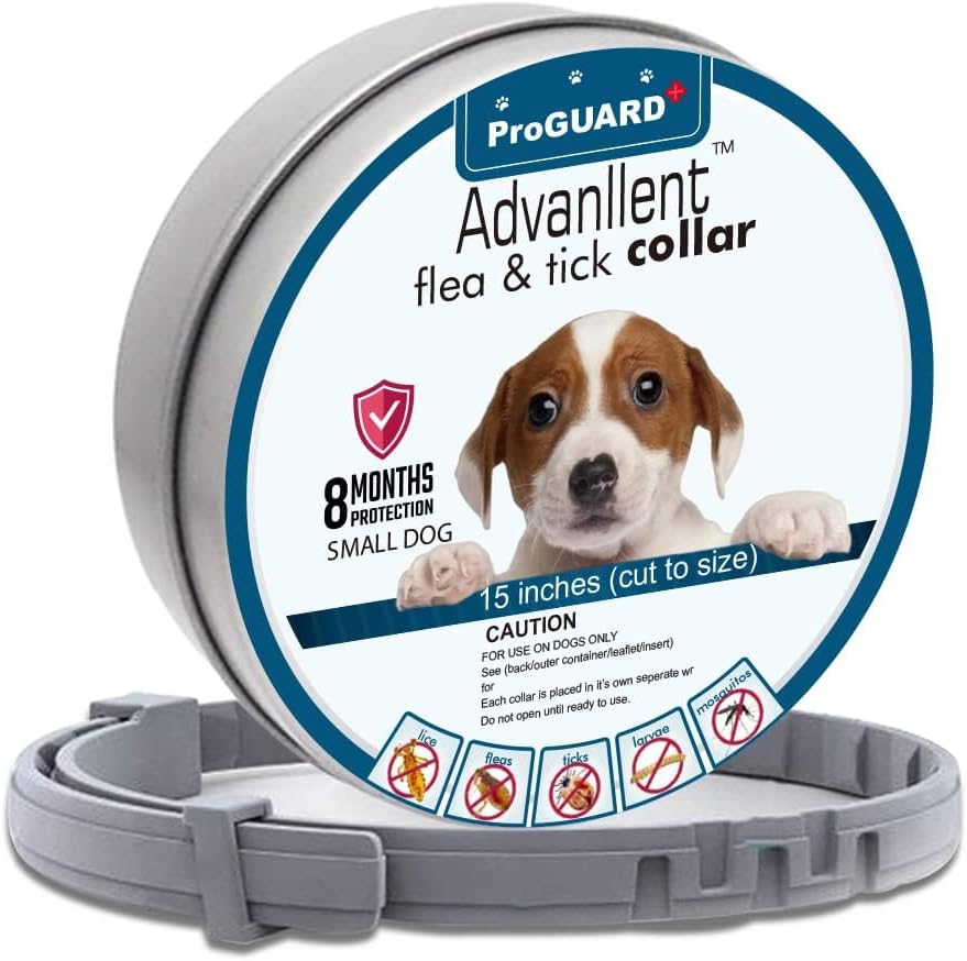 Flea Collar for Cats, Flea and Tick Collars for Small Dogs，8 Month Protection (1 Pack), Gray