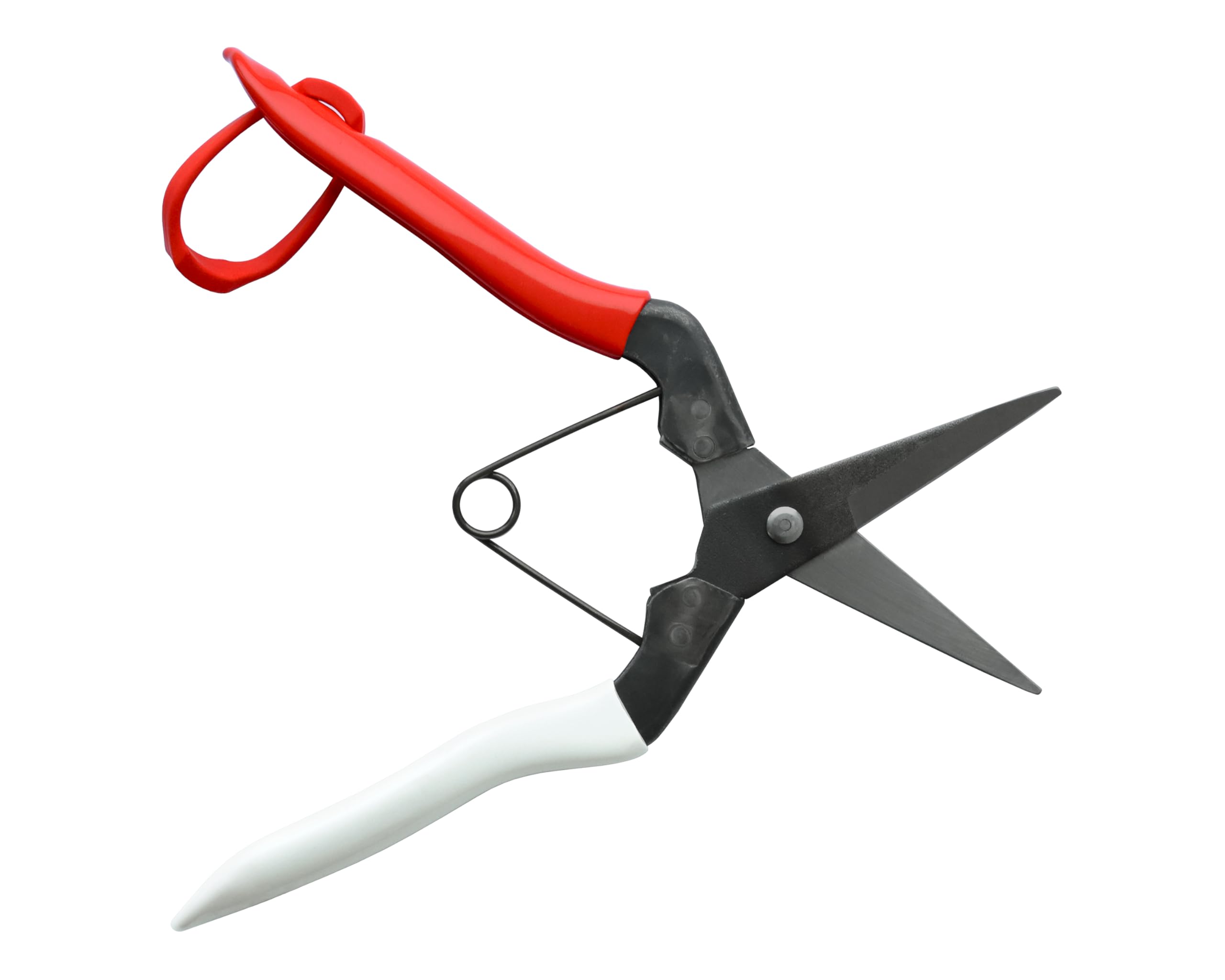 Amazon | 岡恒 芽切鋏 NO.304B | 園芸用はさみ