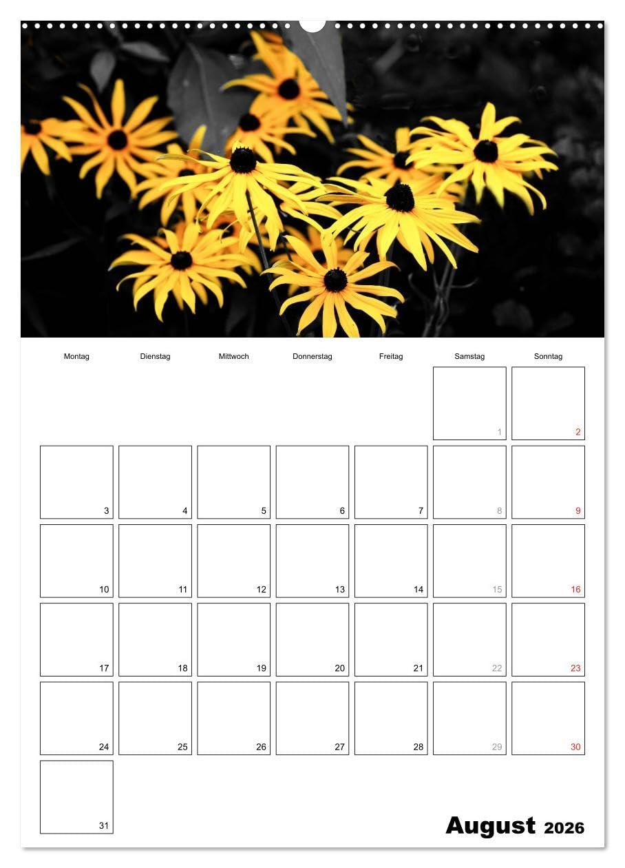 schwarz/weiß trifft farbe - DEIN TERMINKALENDER/Planer (hochwertiger Premium Wandkalender 2026 DIN A2 hoch), Kunstdruck in Hochglanz: Ein ... Fotos den besonderen Look (CALVENDO Natur)