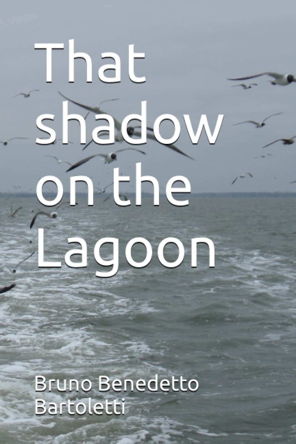 That shadow on the Lagoon