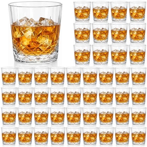 Yungyan 48 Pcs 10 oz Plastic Clear Whiskey Glasses, Clear