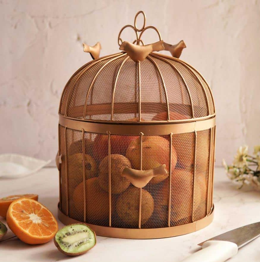 MAXXINN Fruit BulBul Basket with mesh (Jaali) & Lid Countertop Ideal for Storing Fruits, Vegetables | Insect Proof | Size-10x10x13 Inches (B0D6Z8WNCP) Amazon Price History, Amazon Price Tracker