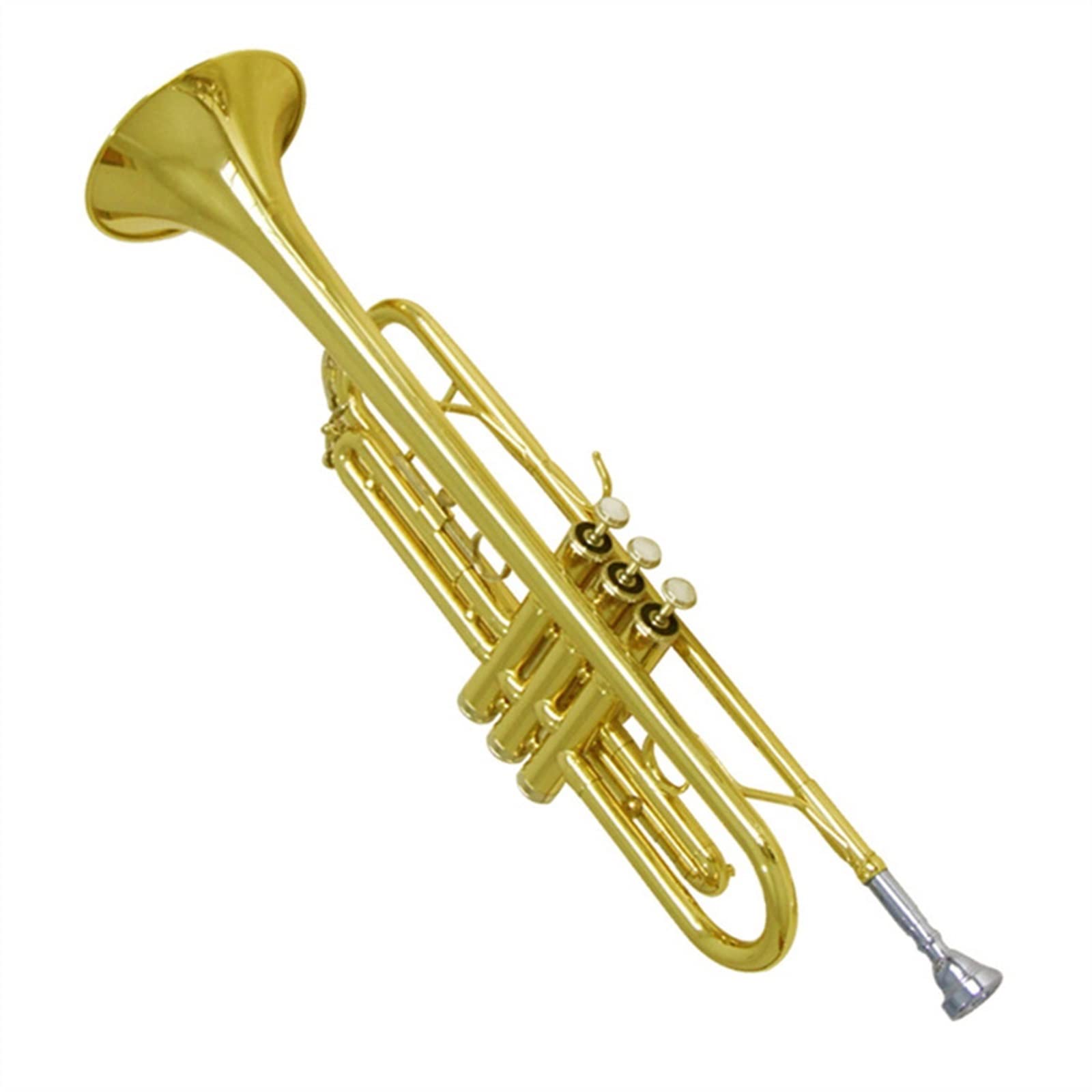 TSTS Gold/Silver Tromba Standard per Principianti Tromba in Si Bemolle Corpo in Ottone con Bocchino 7C Tromba Studente (Color : 01)