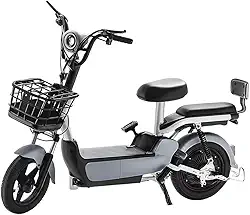 Bicicleta Elétrica Adulto 500W Scooter ZJ – Autopropelida Velocidade Max 30Km Ideal Para Mobilidade Urbana com Garupa e Alarme