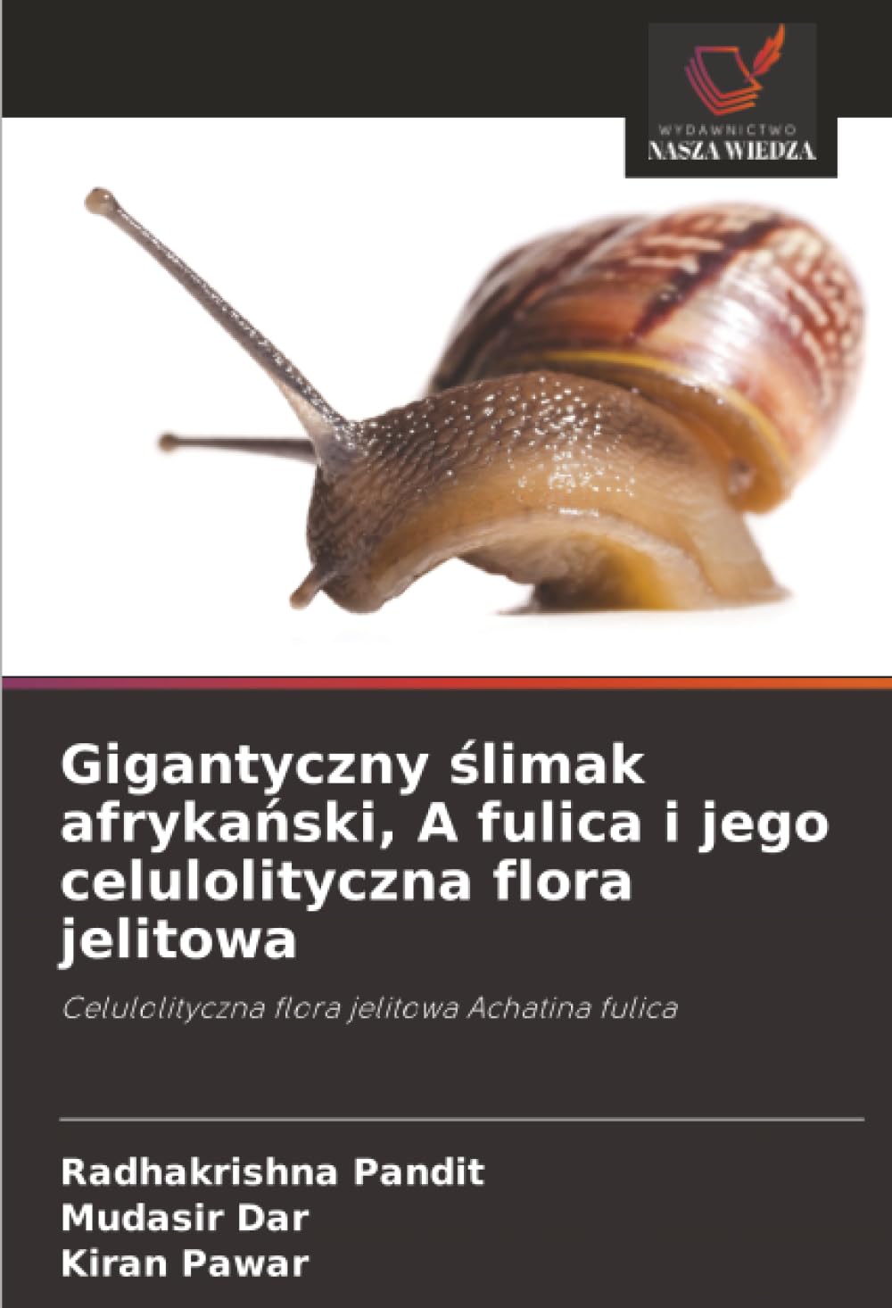 Gigantyczny ¿limak afryka¿ski, A fulica i jego celulolityczna flora jelitowa: Celulolityczna flora jelitowa Achatina fulica