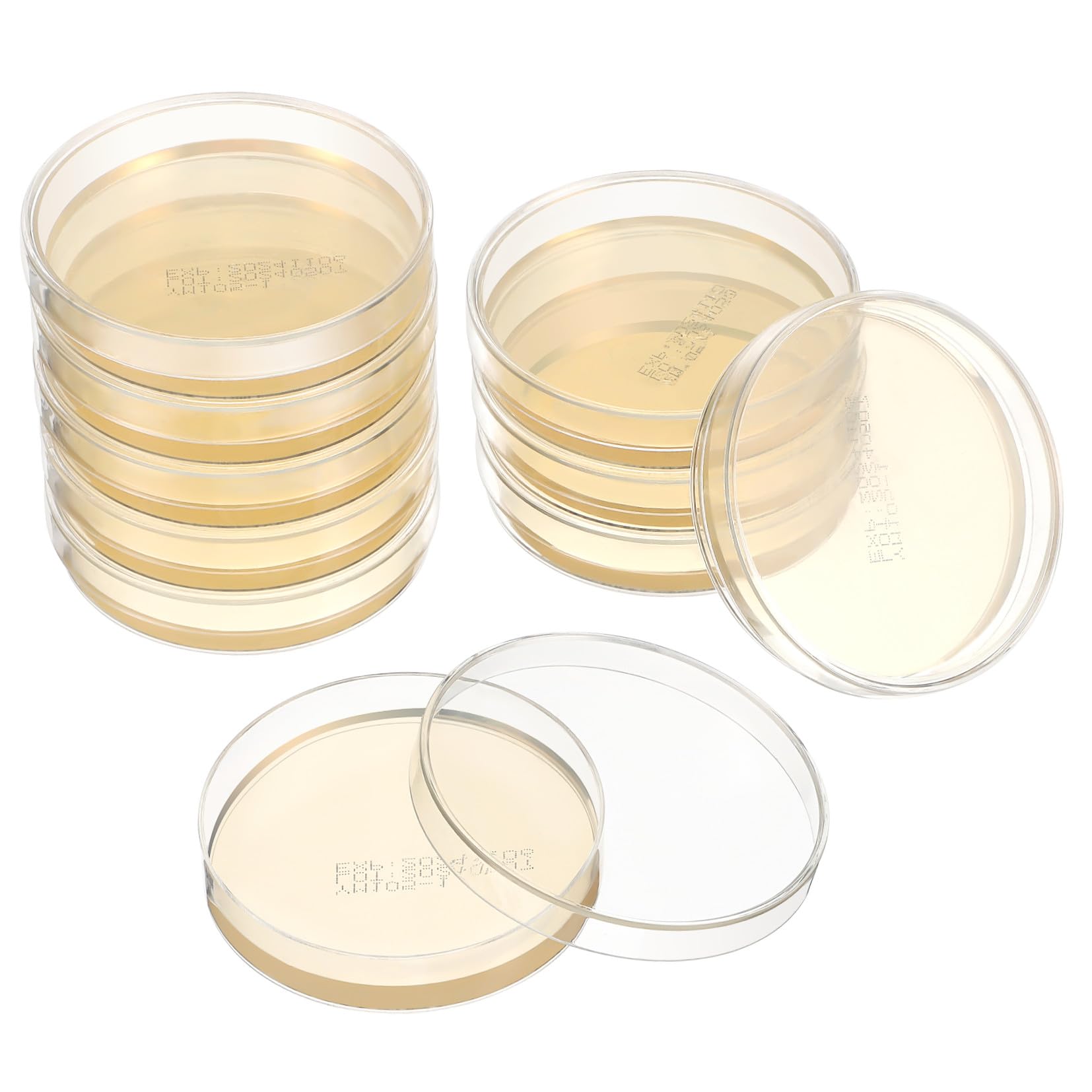 10 Vorbereitete Petrischalen Mit Agar Agarplatten Für Wissenschaftliche Experimente Laborbedarf Für Unterricht Schulprojekte Und Forschendes Lernen