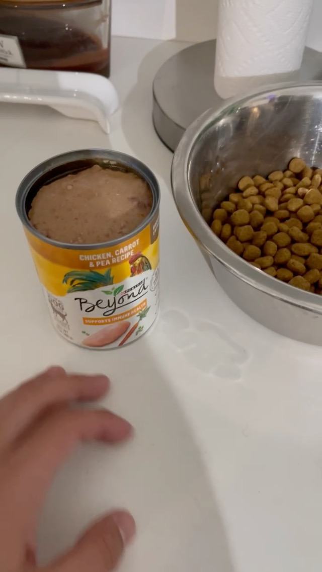 Watch Before You Buy Purina Wet Dog Food HONEST Review On Amazon Live watch-before-you-buy-purina-wet-dog-food-honest-review-on-amazon-live