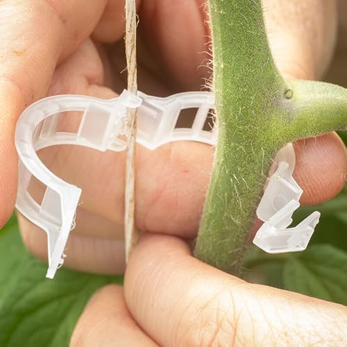 Aoipend 300Pcs Tomato Clips, Plastic Trellis Clips, Plant Support Clips, Grape Vine Tomato Vine Vegetables Plants Garden Support Clips To Grow Upright Makes Plants Healthier #TOP4