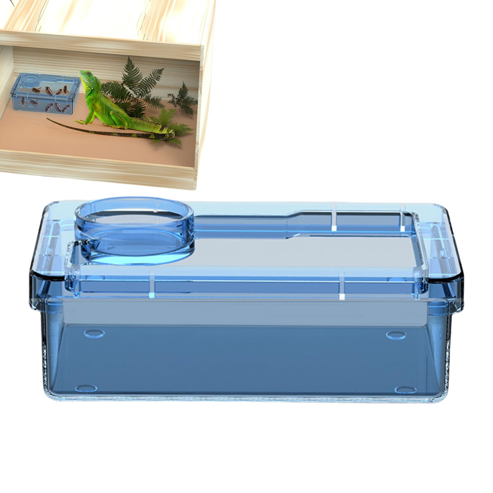 Anti-Escape Food Bowl, Reptile Water Dish, 4.92x3.35x1.77 Inches Worm Basin Rim, Non-Tip Feeder with Smooth, Habitat Maintenance Supply with Gray Style, Terrarium Accessory for Spiders Lizards