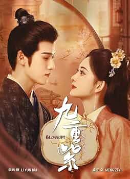 Amazon.com: Blossom (Epis1-34)(Chinese TV Series, English Sub