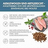 Wolf of Wilderness Adult Blue River, reich an Omega 3 Fettsäuren, enthält 61% reines Fleisch, niedriger Kohlenhydratgehalt – Lachs (2 x 12 kg)