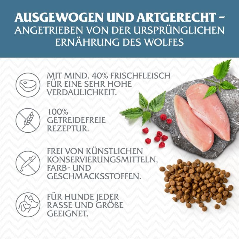 Wolf of Wilderness Adult Blue River, reich an Omega 3 Fettsäuren, enthält 61% reines Fleisch, niedriger Kohlenhydratgehalt – Lachs (2 x 12 kg)