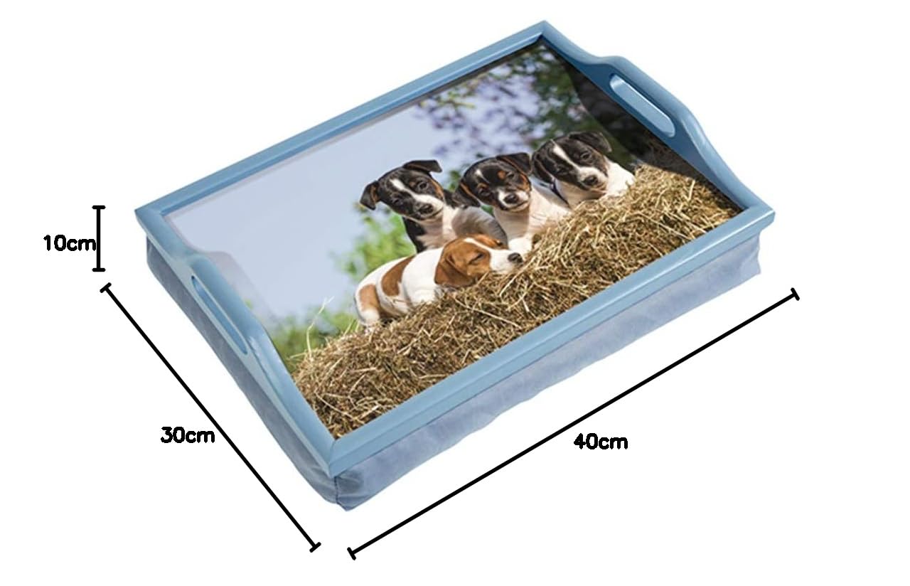 Laptray - Schootkussen Ruwharige Teckel Humor bestellen via Teckel Shop