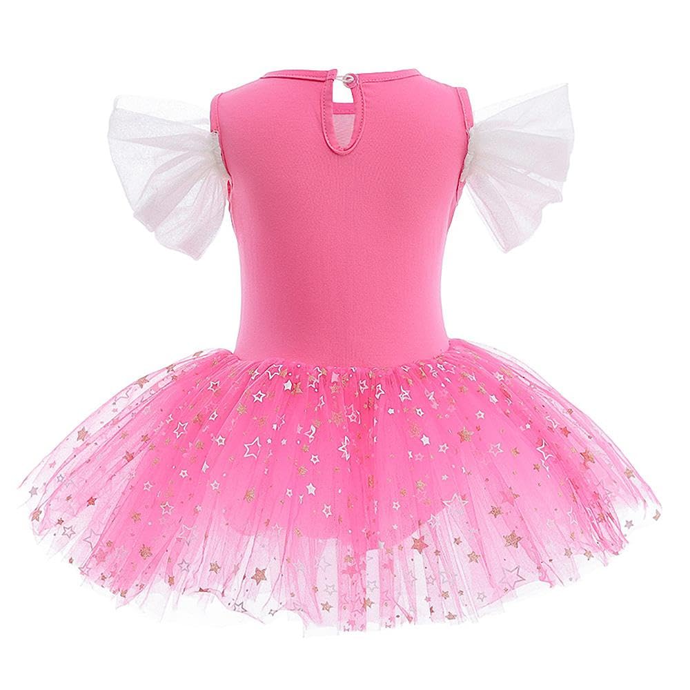 Lito Angels Princess Aurora Ballerina Costume Ballet Leotard with Tutu Dress for Kids Girls Fancy Dance Wear Outfit Age 18-24 Months (Tag Number 90) - Image 2