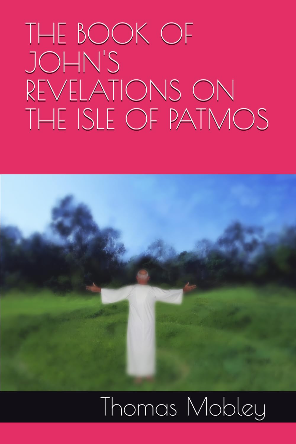 THE BOOK OF JOHN'S REVELATIONS ON THE ISLE OF PATMOS