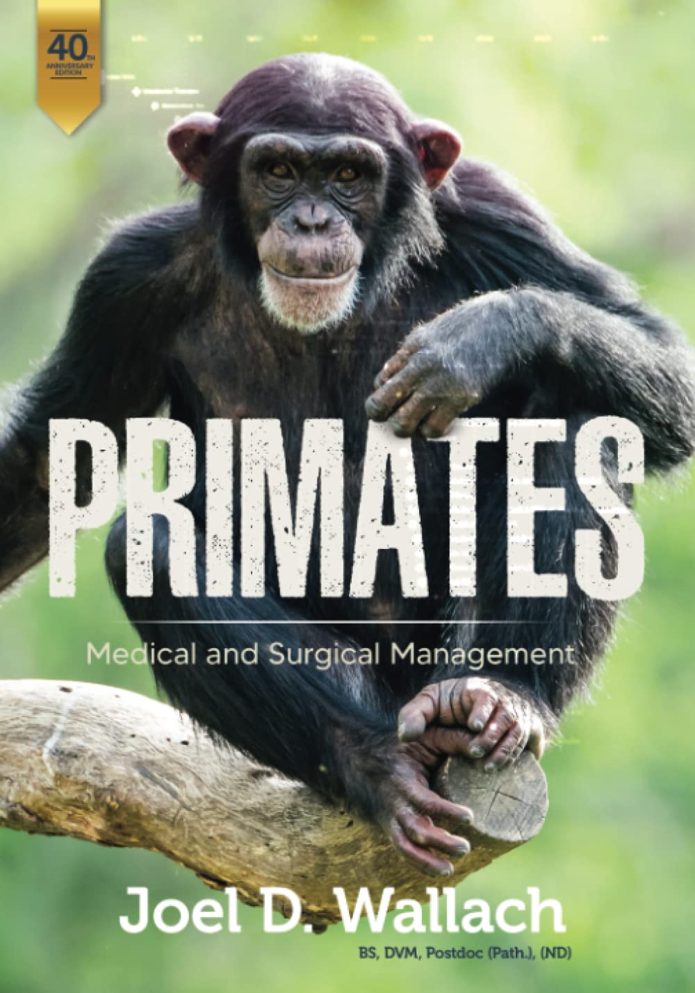 Primates: Medical and Surgical Management (Diseases of Exotic Animals)