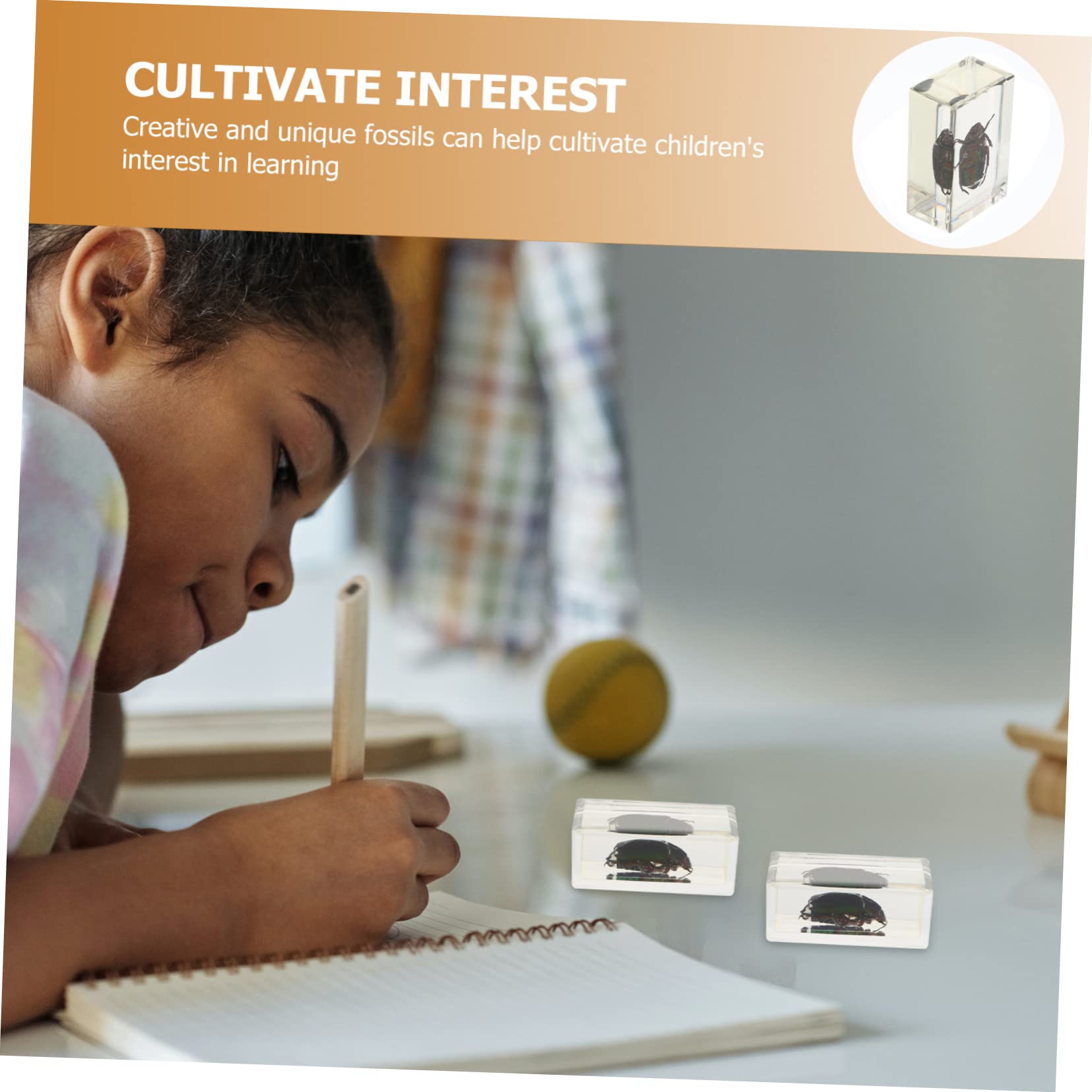 CIYODO 1 PC Insect Specimen Amber Specimen Teaching Tools Insect Samples Science Classroom Specimens Toy Amber Scorpion Educational Specimen Biology Specimens Resin