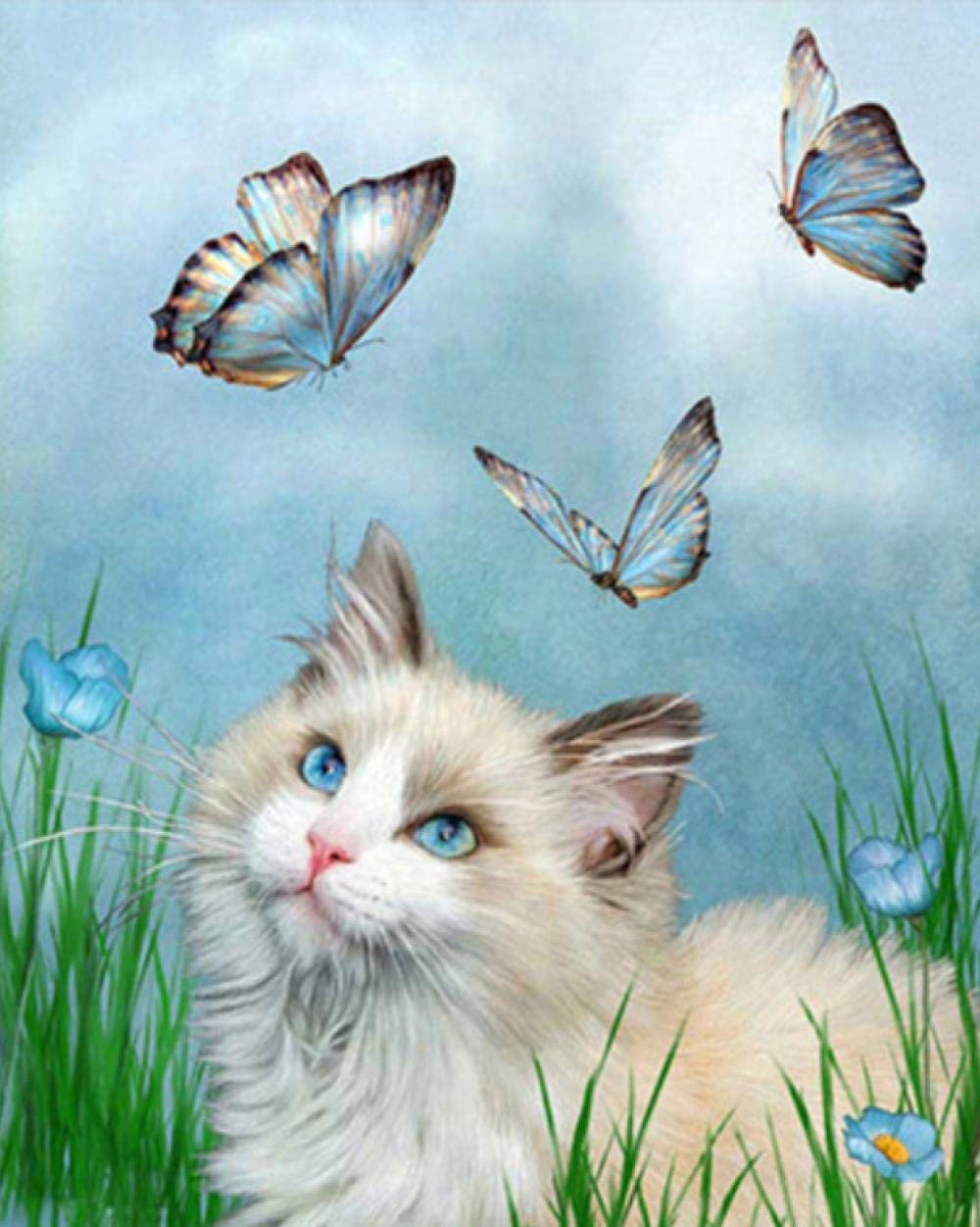 Peinture par numéro chat fleur 40x50cm idée cadeau originale pour anniversaire et noël