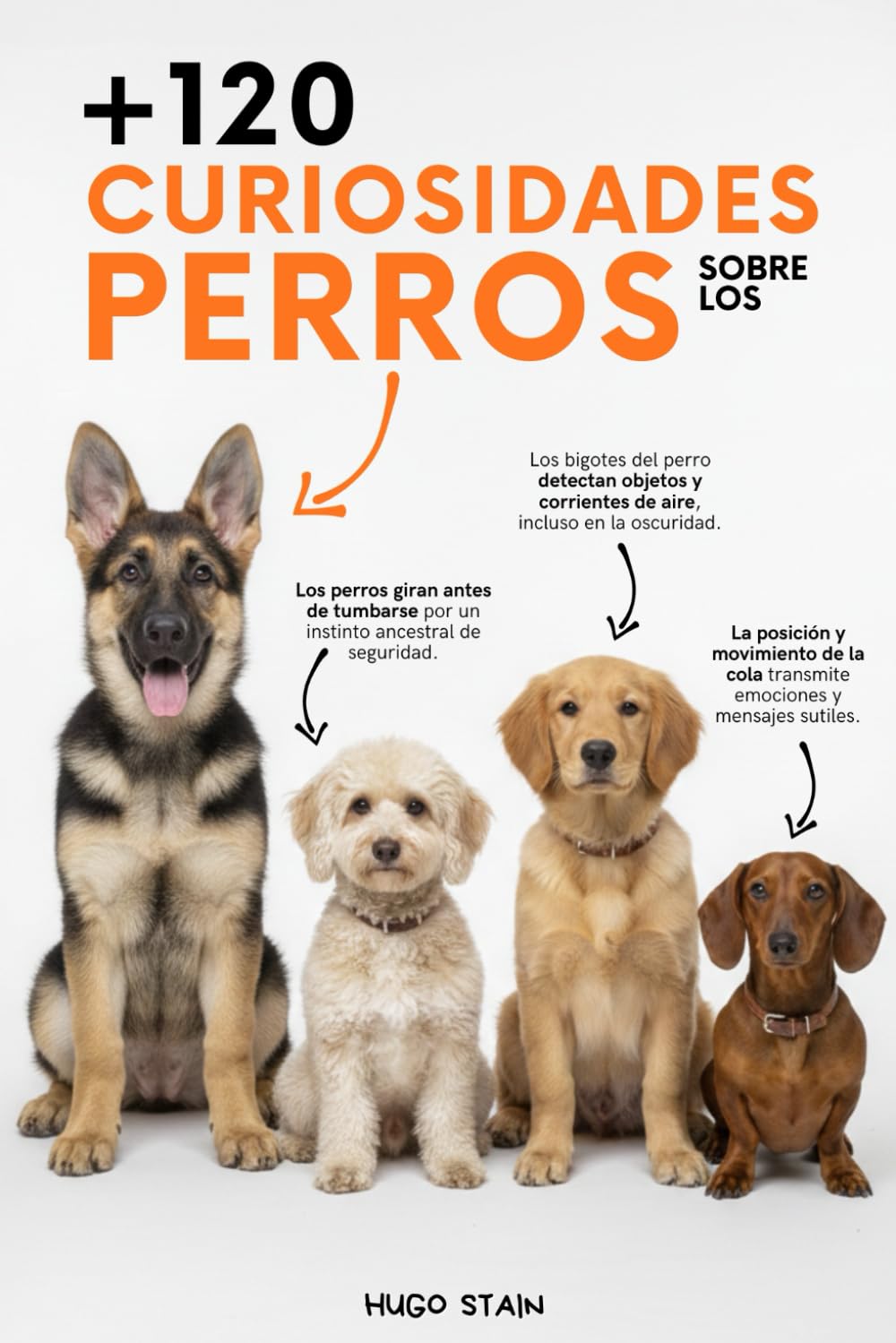 120 CURIOSIDADES sobre PERROS: Curiosidades de perros con datos curiosos y sorprendentes, secretos caninos y consejos prácticos para dueños de perros. ... para amantes de los perros, niños y adultos