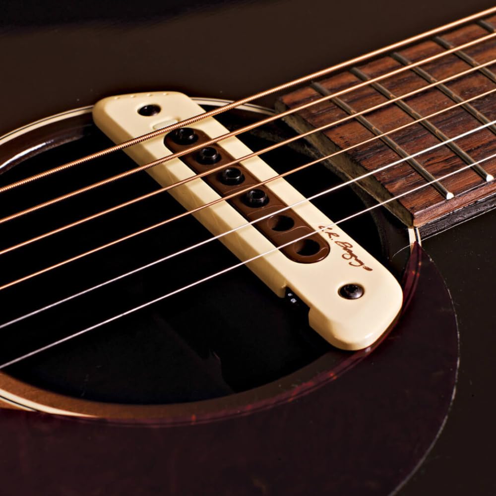 Amazon.com: LR Baggs M80 Acoustic Guitar Magnetic Soundhole Pickup