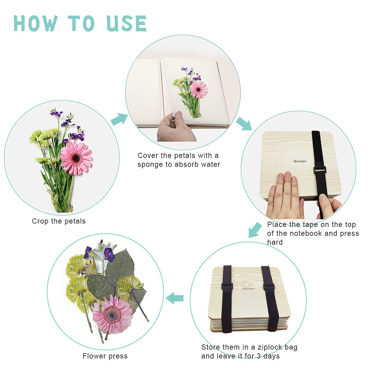 Worown (15 cm x 15 cm Kit de prensado de flores en miniatura, prensa de hojas, juego de prensado de 4 capas que incluye instrucciones para adultos para hacer muestras