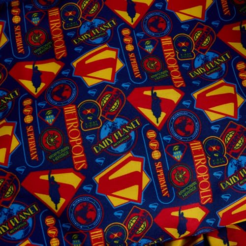 Superman Backpack Loungefly DC Comics le cadeau sac à dos unique