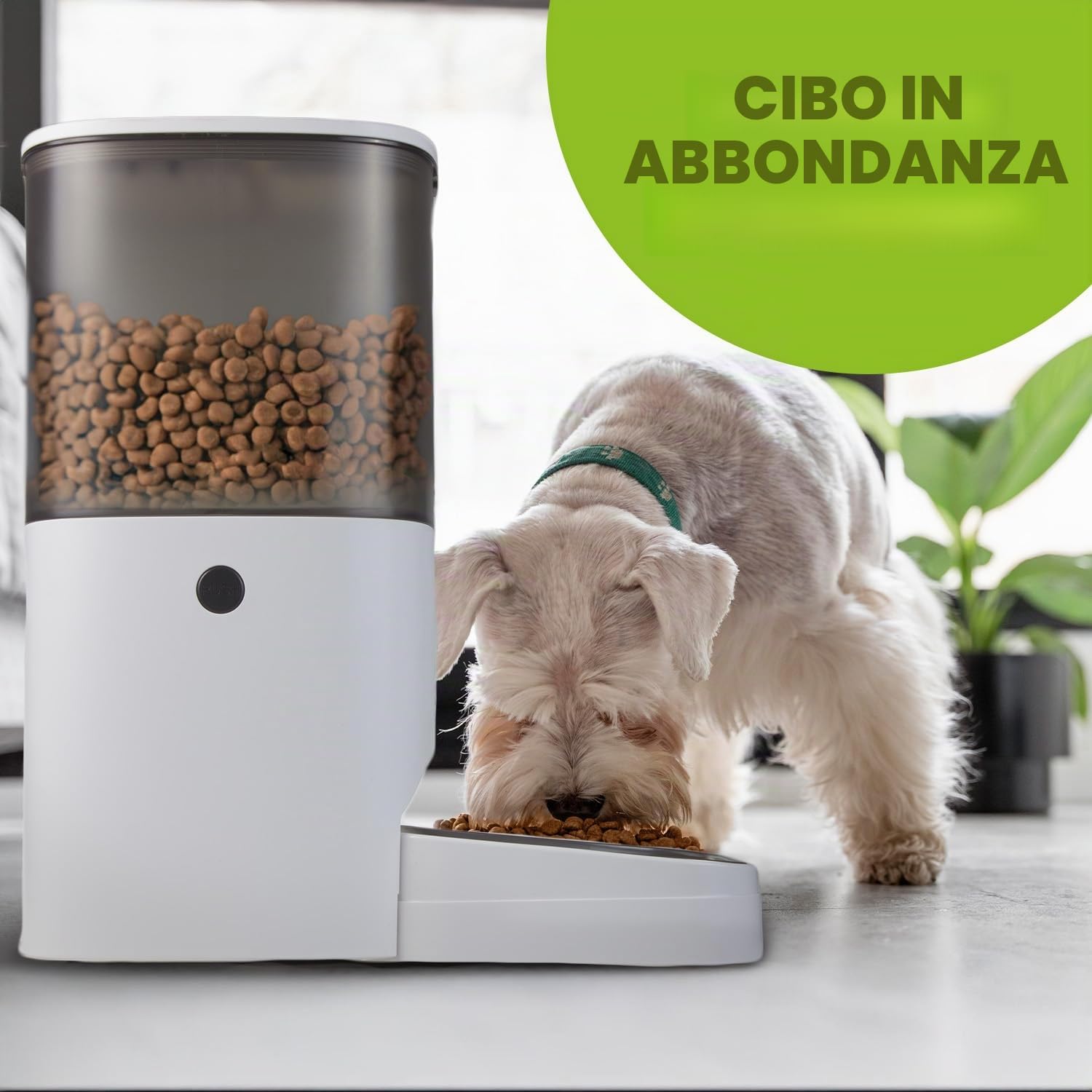 GreenBlue distributore automatico di cibo per animali domestici/mangiatoia, 6L, USB 5V1A, GB393