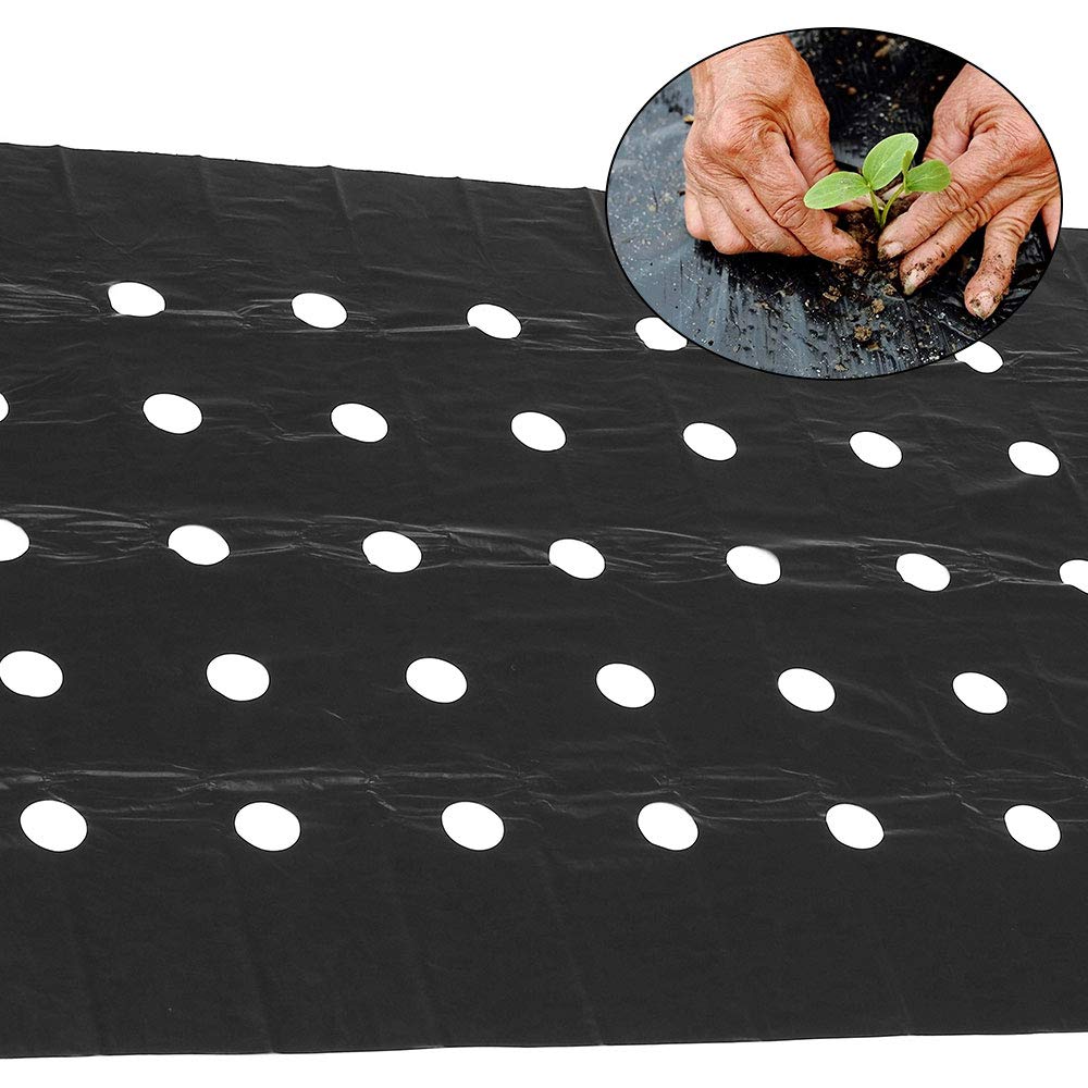 Film Géotextile Anti Mauvaises Herbes 100g/m² Toile Paillage QWORK - Anti-mauvaises Herbes 100g/m², Géotextile Perméable Pour Jardin Et Allées Toile Perméable Eau Film Géotextile Anti Mauvaises Herbes 100g/m² Toile Paillage QWORK - Anti-mauvaises Herbes 100g/m², Géotextile Perméable Pour Jardin Et Allées Toile Perméable Eau