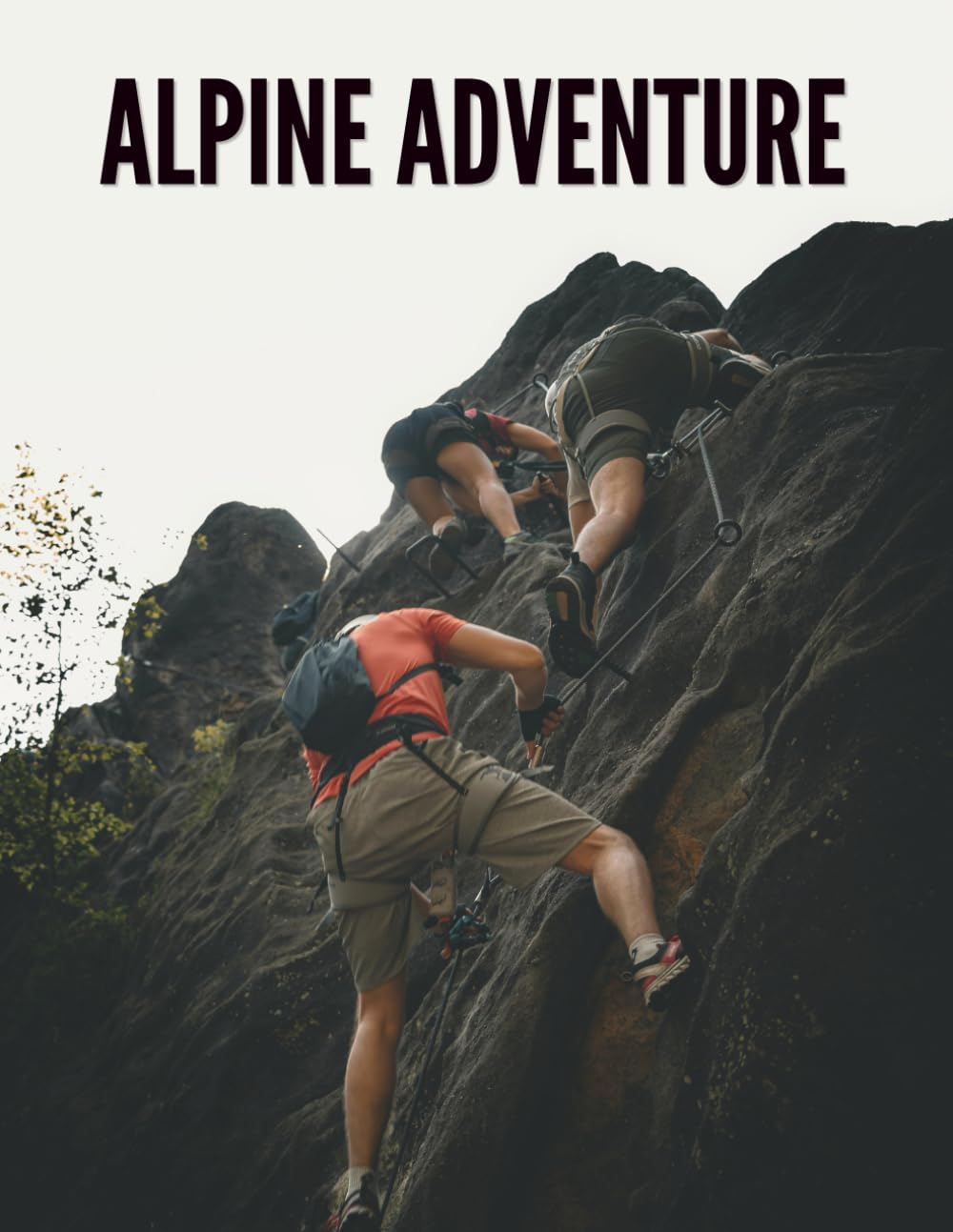 Alpine Adventure Book: Epic Mountain Journeys Through Stunning Photography-A Visual Exploration of Snowy Peaks, Scenic Trails, and Wild Landscapes Across All Seasons