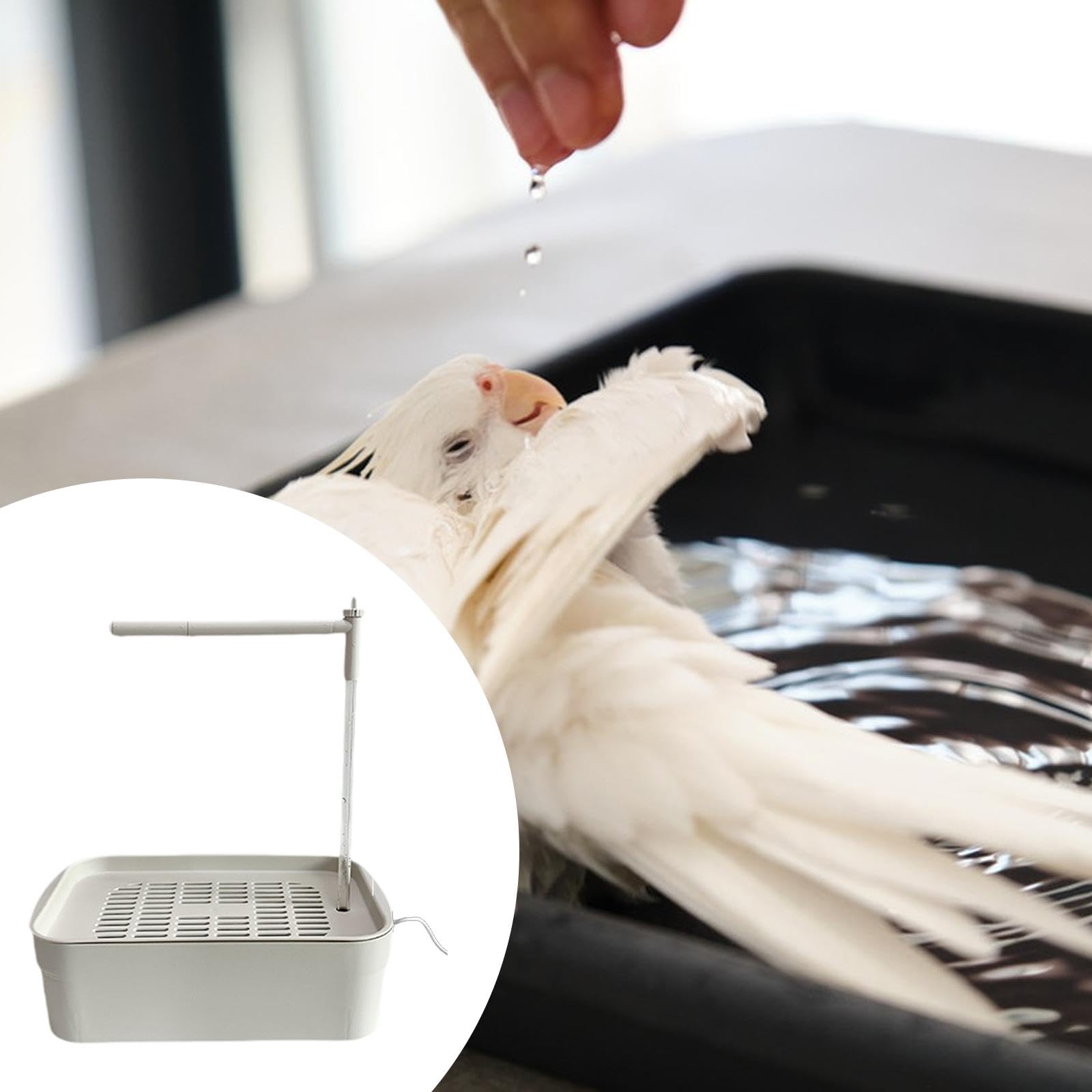 de baño automático para pájaros, Incluye Ducha y Fuente de Agua, Blanco, L