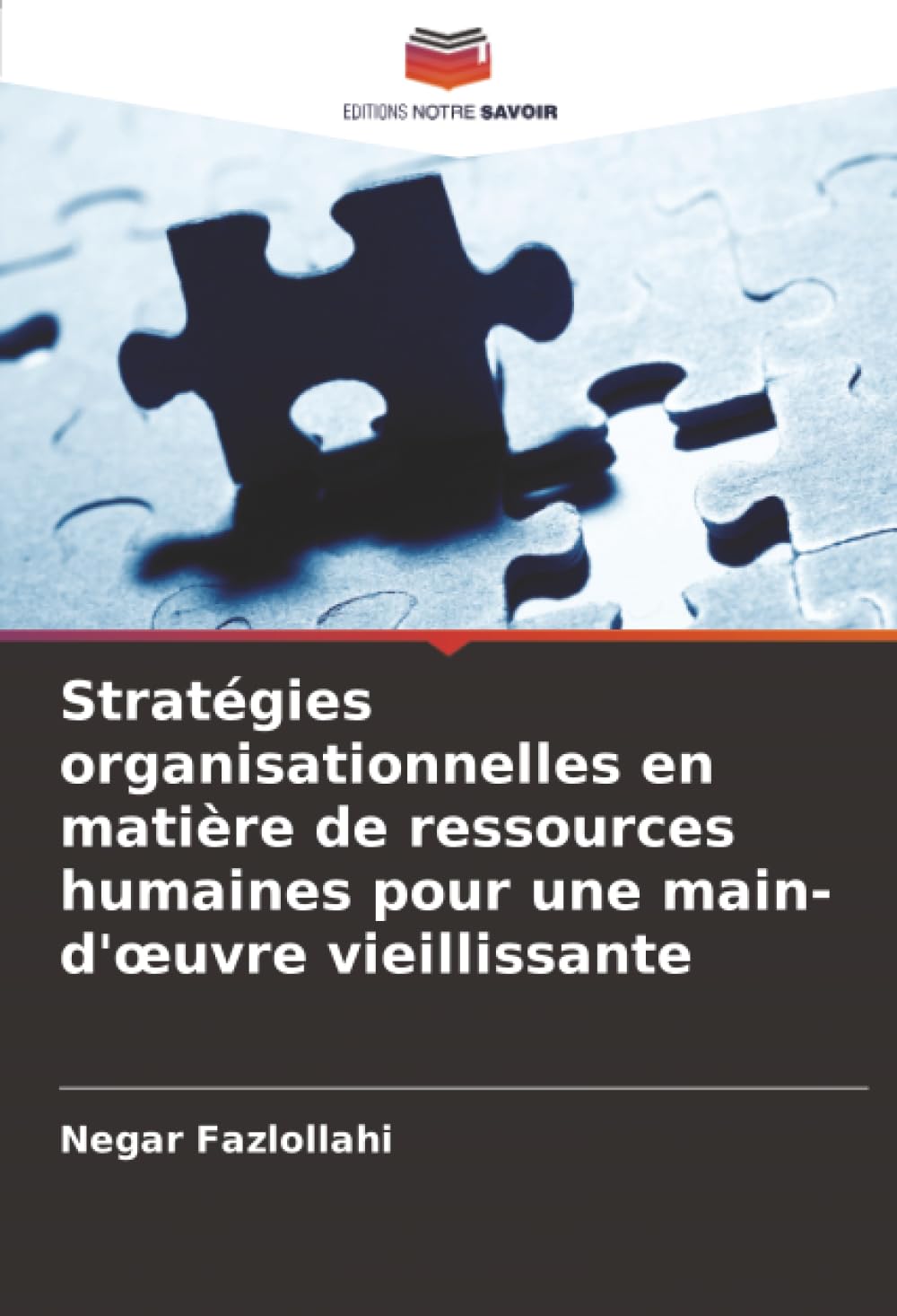Stratégies organisationnelles en matière de ressources humaines pour une main-d'œuvre vieillissante