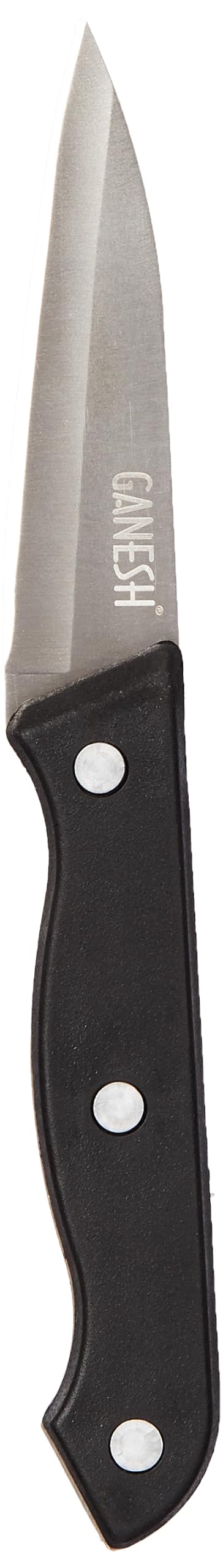 Ganesh Stainless Steel Kitchen Bold Paring Knife Vegetable Cutting and Chopping Knife, Serrated Edge (B0C819WWP2) Amazon Price History, Amazon Price Tracker