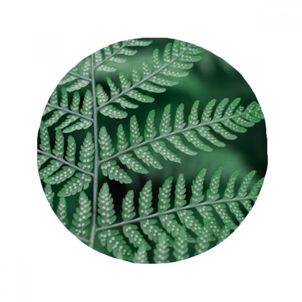 Tapis de sol feuille plante anti-slip pour salle de bain tapis de cuisine multicolore 50cm