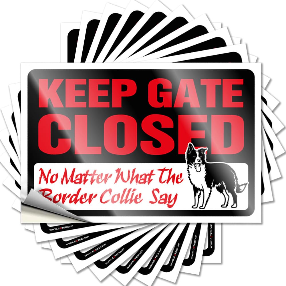 Keep Gate Closed No Matter What The Border Collie Say Assorted Teens Stuff - Saying Decor Removable Vinyl Decal(6X9CM)