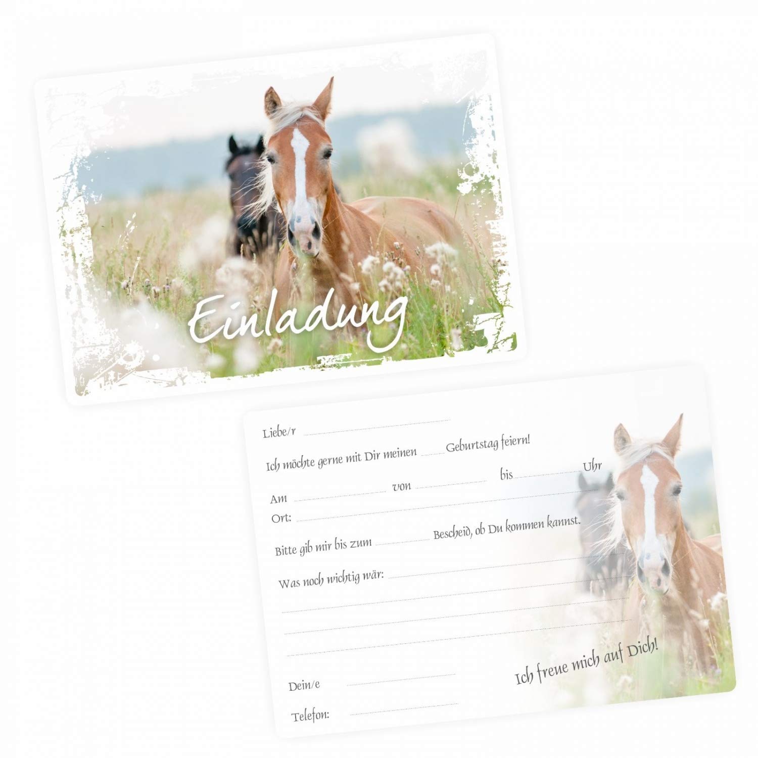 Minkocards Lot De 8 Cartes D'invitation Avec 8 Enveloppes Pour Anniversaire D'enfant Motif Cheval