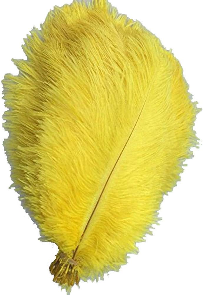 MELADY® Pack of 1000pcs Natural Ostrich Feathers Centerpieces 8-10inch(20-25cm) for Home Wedding Party Decoration (red)