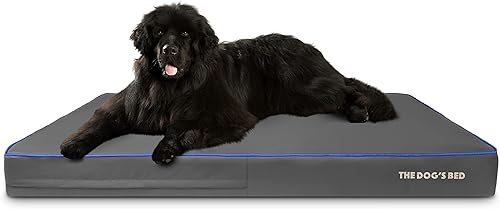 Miniatura 67 de The Dog's Bed - Cama ortopédica de espuma viscoelástica para perro, grande gris y negro, impermeable, cama de apoyo con fundas reemplazables, negro
