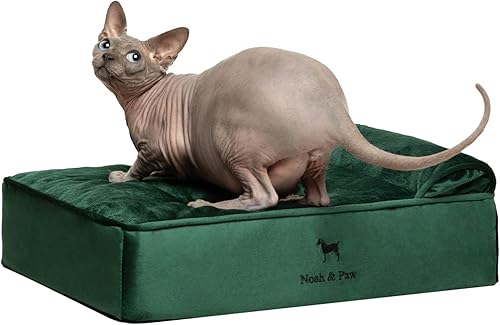 NOAH & PAW Cama pequeña para perros, 20 x 15 x 8 pulgadas, cama para gatos de interior, espuma viscoelástica ortopédica de cáscara de huevo
